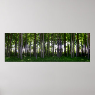 Pôster Küstenschutzwald.