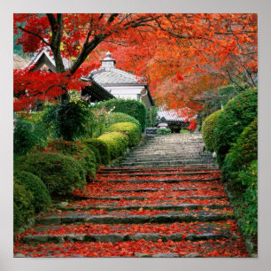 Pôster Kyoto, folhas de outono