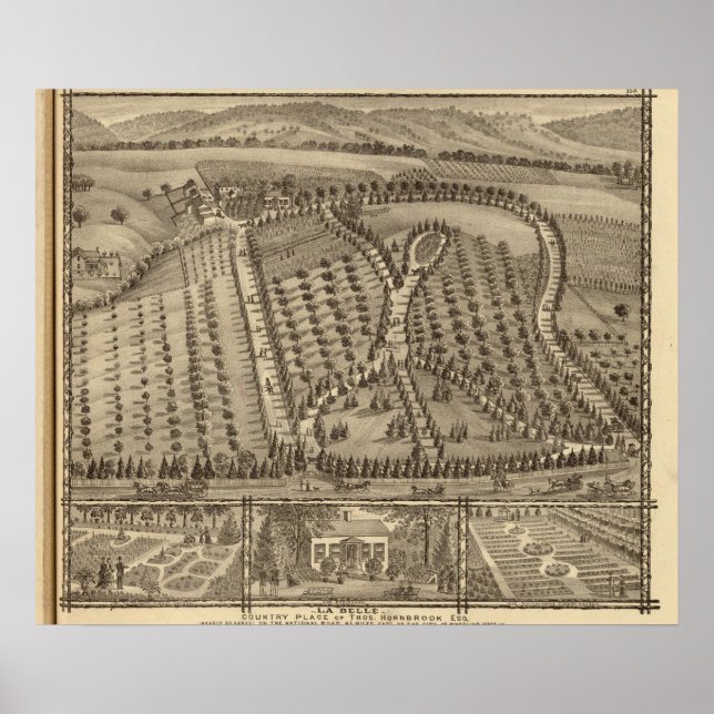 Poster La Belle, terra de Thos Hornbrook (Frente)