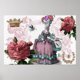 Pôster la cage aux oiseaux (Birdcage)