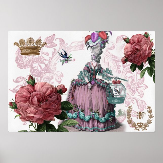 Pôster la cage aux oiseaux (Birdcage) (Frente)