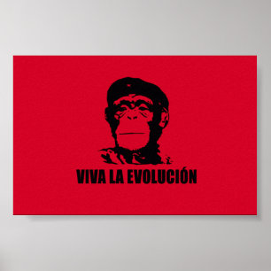 Pôster La Evolucion de Viva
