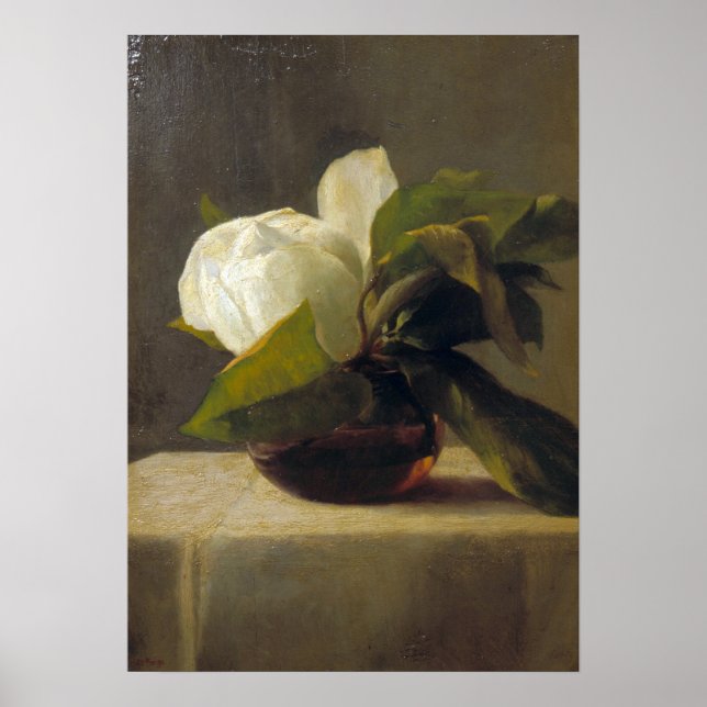 Poster La Farge - Magnolia (Frente)