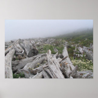 Pôster La Push, Pacific Coast - WA