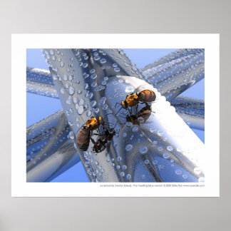 Pôster La rencontre - A reunião (versão azul)