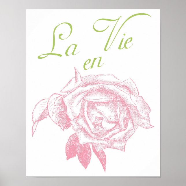 Poster la vie en rosa (Frente)