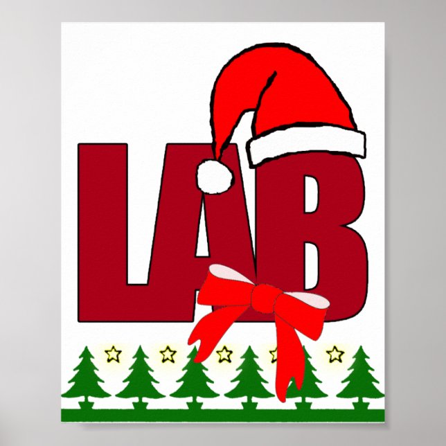 POSTER LABORATORIAL DE PAPAIS NOEIS DE NATAL (Frente)