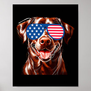 Poster Laboratório De Chocolate Cão Bandeira Americana Pa