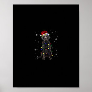 Poster laboratório negro labrador dog christmas light pap