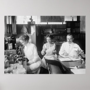 Poster Laboratório Rato, 1912
