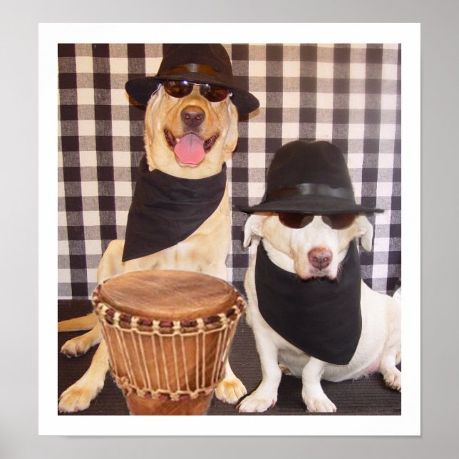 Pôster Laboratórios Blues Brothers (Frente)