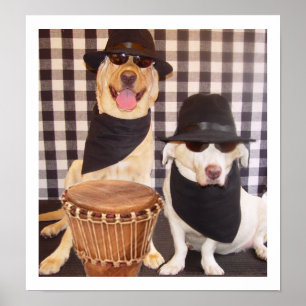 Pôster Laboratórios dos irmãos dos azuis