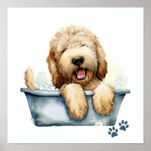 Poster Labradoodle Dog