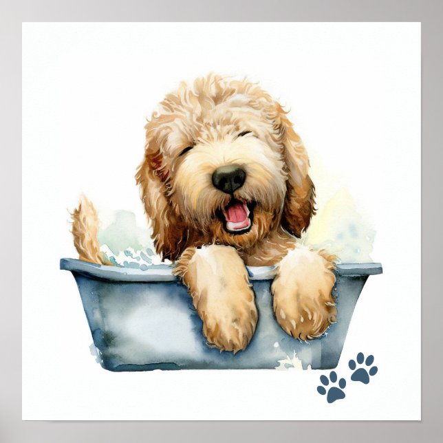 Poster Labradoodle Dog (Frente)