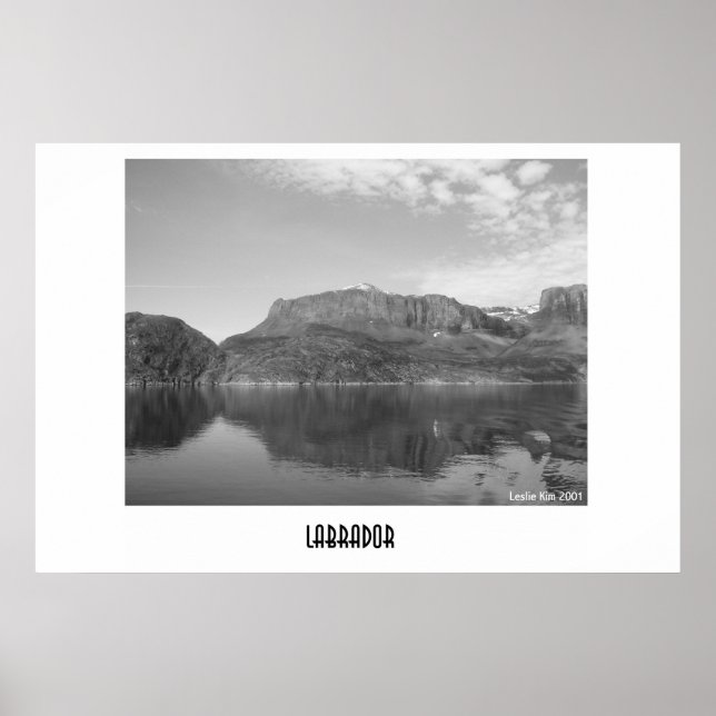 Pôster Labrador (Frente)