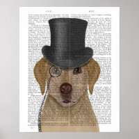 Labrador Amarelo, Chapéu Formal