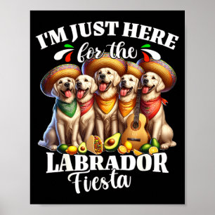 Poster Labrador festa aqui para cinco de maio labrador