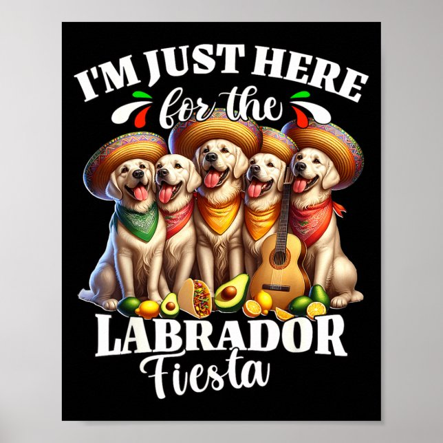 Poster Labrador festa aqui para cinco de maio labrador  (Frente)