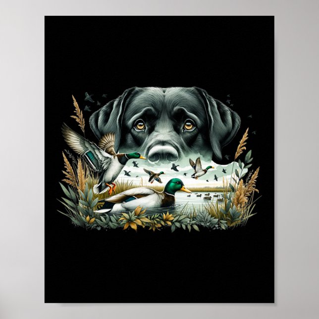Poster Labrador Retriever Com Patos Mallard Caçando Pato (Frente)