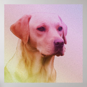 Poster Labrador Retriever Dog Watercolor Retrato 01