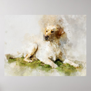 Poster Labrador Retriever Dog Watercolor Retrato 03