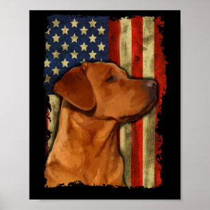 Poster Labrador Retriever Foxred Bandeira dos EUA Fox Red