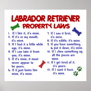 PÔSTER LABRADOR RETRIEVER PL2