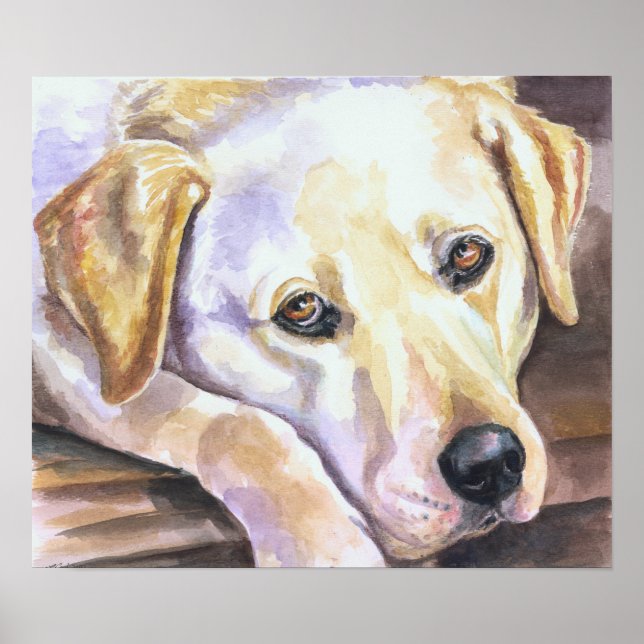 Poster Labrador Retriever Print (Frente)
