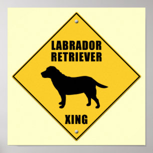 Poster Labrador retriever que cruza o sinal (XING)