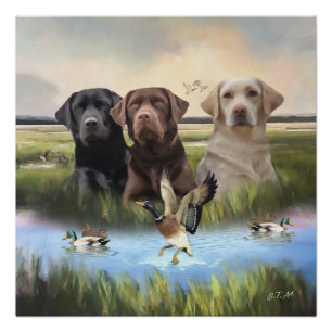 Pôster Labrador Retrievers (Cães caçadores)