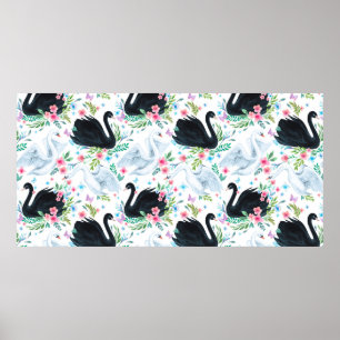 Poster Laca de cisne branca e preta, de cor aquosa, sem s