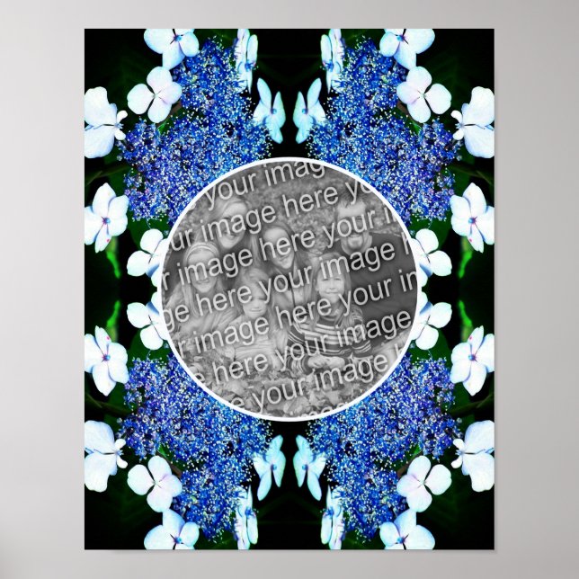 Poster Lacecap Azul Hydrangea Flower Frame Adicionar Sua  (Frente)