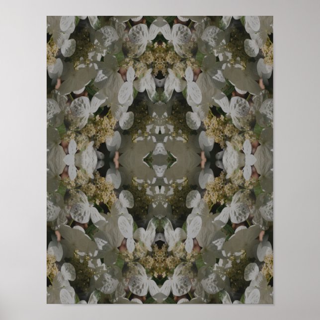 Poster Lacecap Branco Hydrangea Floral Mirror Abstrato (Frente)