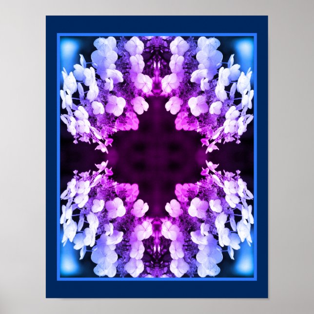 Poster Lacecap Hydrangea Abstrato de pintura branca preta (Frente)