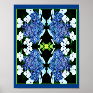 Poster Lacecap Hydrangea Flower Close Abstrato