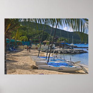 Pôster Lado da praia em Leverick Bay Resort & Marina,