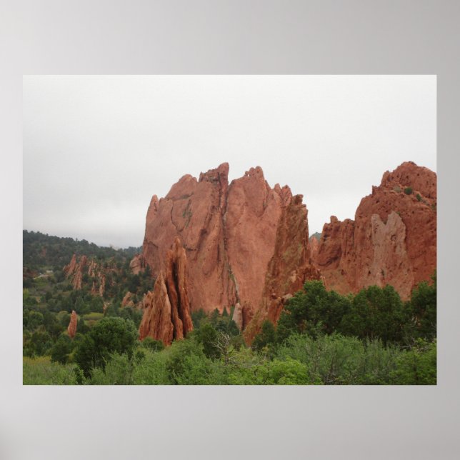 Poster Lado de trás dos Camelos Beijantes no Jardim dos D (Frente)