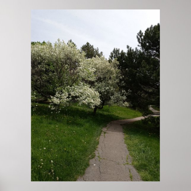 Poster Lados claros, escuros e opostos (Frente)