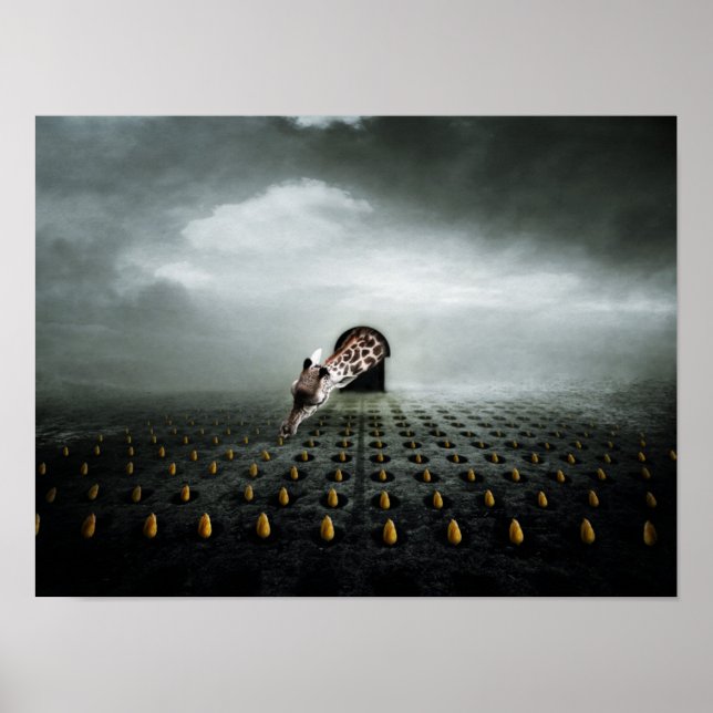 Poster ladrão de tulipas 2 2013 (Frente)