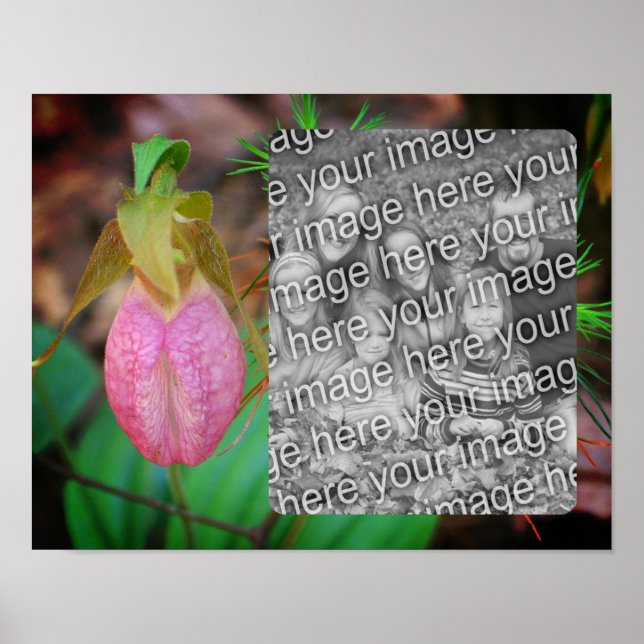 Poster Lady Slipper Orchid Frame Add Your Photo (Frente)