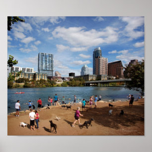 Pôster Ladybird Lake Dog Park Austin Texas Skyline