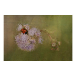 Pôster Ladybird no Dandelion Fecha Arte Fotográfica