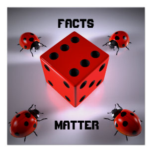 Pôster Ladybug