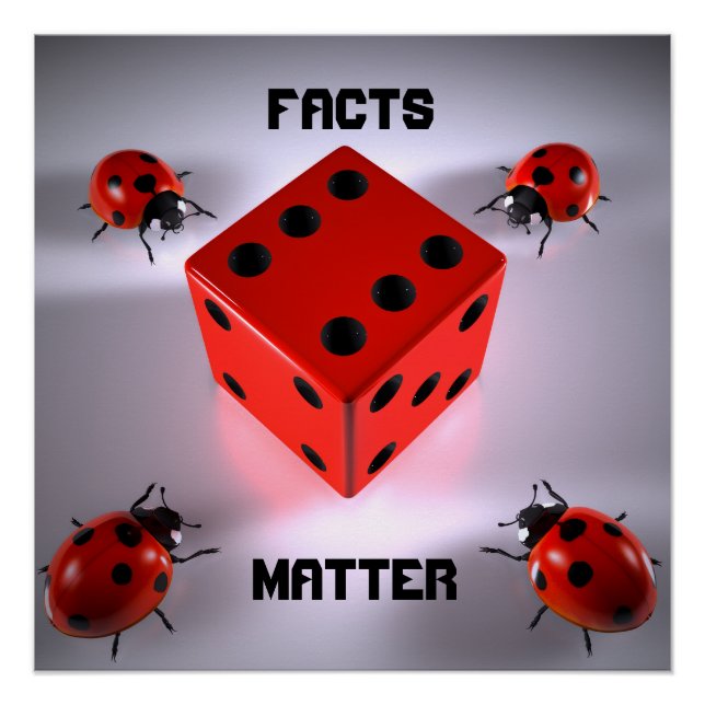 Pôster Ladybug (Frente)