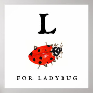 Poster Ladybug