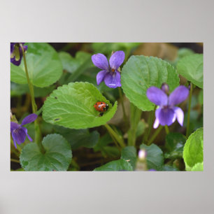 Poster Ladybug em Flores de Violeta Doce