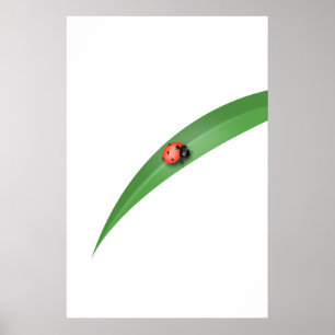 Poster Ladybug Leaf