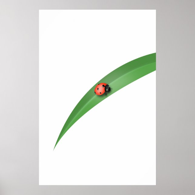Poster Ladybug Leaf (Frente)