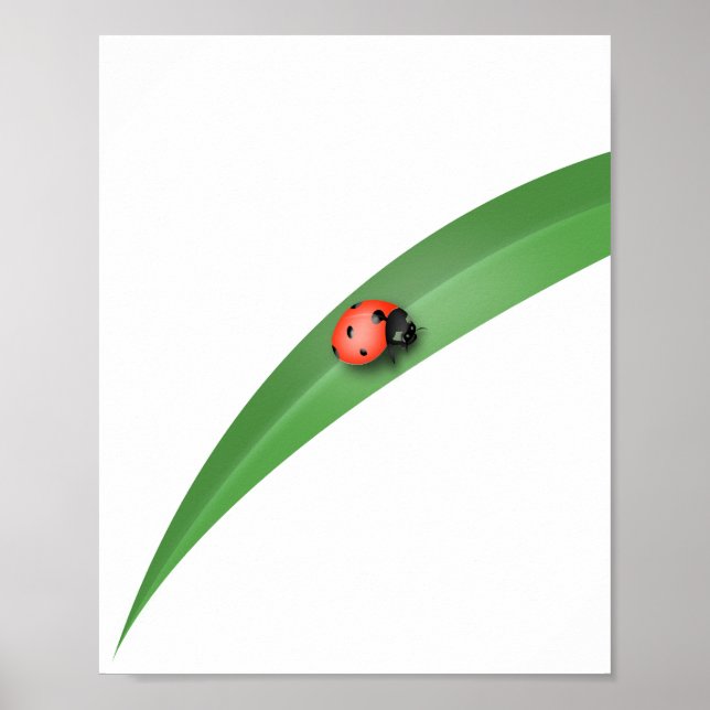 Poster Ladybug Leaf (Frente)