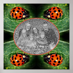 Poster Ladybug No Quadro Leaf Crie Sua Própria Foto